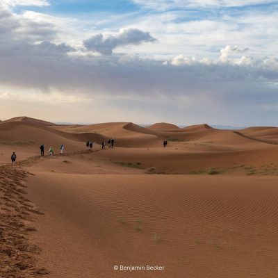 Une promenade dans les dunes