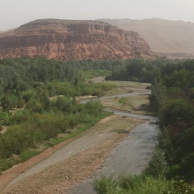 Bou Tharar