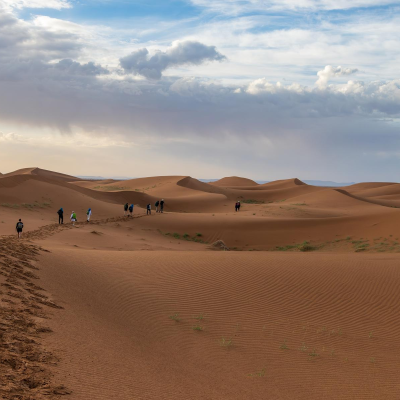 Une promenade dans les dunes