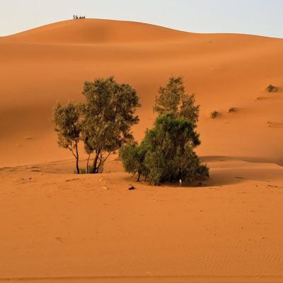 Merzouga