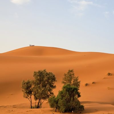 Merzouga